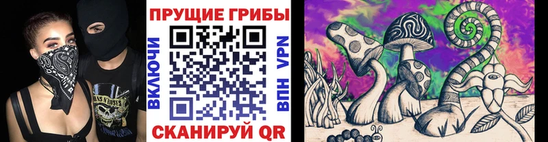 Псилоцибиновые грибы мицелий  Сосновый Бор 